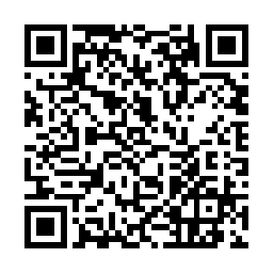 侯卫东想起祝梅曾经说过给父亲祝焱亦发过一些相片二维码生成