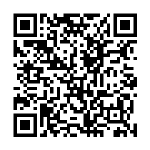 侯卫东拿着益杨县委县政府发出的请柬来到了周昌全桌前二维码生成