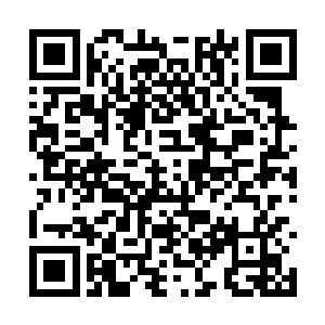 侯卫东暂时就将岭西的李晶以及肚里的孩子忘掉了二维码生成