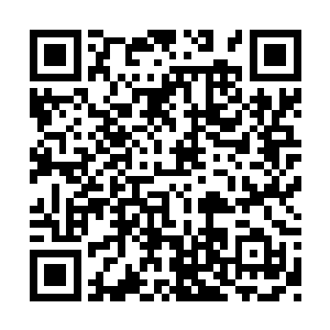 便一个人快速的搭建了起来……这样的野营工具二维码生成