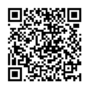 便丝毫不逊于一位帝尊三层镜强者全力赶路的速度了二维码生成