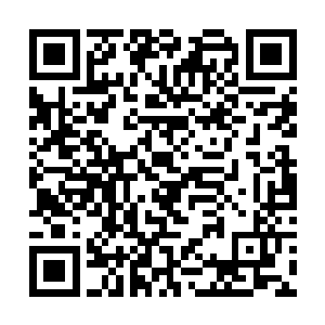 便也好奇地睁开了微垂的眼帘向着兰百灵的脸上望去二维码生成