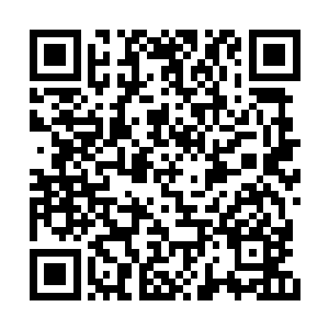 便从皓月神殿内取出一具水晶棺轻轻的摆在地上二维码生成