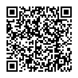 便会把这些宝物和灵物肆意的抛洒在距离黑龙殿百里范围内的宫殿废墟中二维码生成