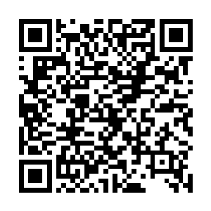 便低着头细细处理今早与卓谦之一起逮住的几条黄鲱鱼二维码生成