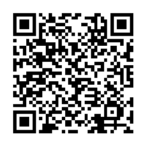 便再也没有人敢于去招惹这个冷酷无情的巩老虎了二维码生成