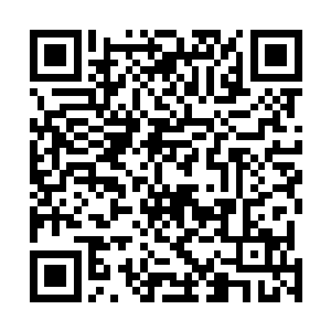 便十分自然地拉着行李抄前面的小路往机场中央大道走去二维码生成