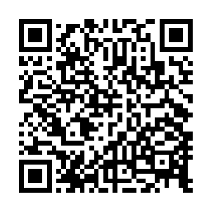 便又将她得到的元神的过程到完全吸收得到了紫气说了一遍二维码生成