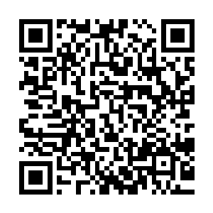 便又有之前曾经出现的那应该是魔界的藤蔓迅速的蔓延了开来二维码生成