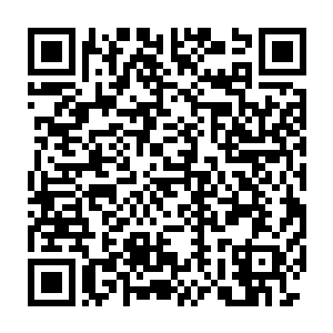 便发现几乎所有人都用一种近乎痴迷的眼神看着台上的那些美女们二维码生成