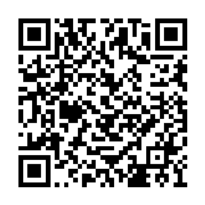 便只能深藏于心底跟随着他下地狱去问阎罗王了二维码生成