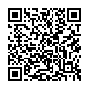 便听得丫鬟进来报告姨娘们过来给新夫人请安了二维码生成