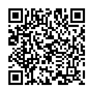 便听说老丈人不久之前才兴致勃勃的叫人整治了一桌酒菜二维码生成