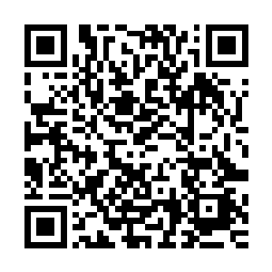 便噗噗噗噗地从屁股后面崩出了一粒粒金光闪闪的小金粒来了二维码生成