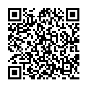 便在一个箱子里面发现了土依水他们的衣服还有储物戒指二维码生成