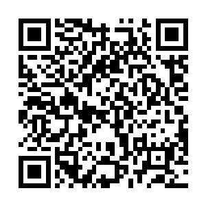 便在一声轻响之中被闪烁着金色光芒的虎魄刀直接斩断二维码生成