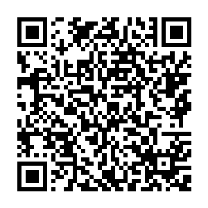 便在一阵剧烈至极的轰鸣声中被这超级巨人一拳带出的恐怖力量给硬生生的轰散二维码生成