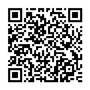 便在前方五里的……芦苇门附近……大帅的军队正自西面过来二维码生成