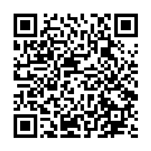 便在木源珠的绿色空间的中央感应到了生命之源的气息二维码生成