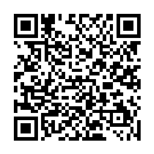 便在此大衍石笋林内衍化出了一片千丈大小的剑域海洋二维码生成