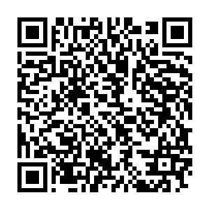 便在燕离等人打算在距石龙村约有五十里地的某个不知名的树林里二维码生成