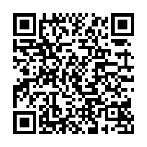 便在画中界死皮赖脸的缠着陆玄要学习魂魄天赋二维码生成