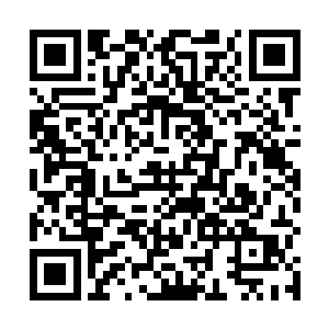 便在这位看似如家庭妇女般的二十三魔将抚今追昔之时二维码生成