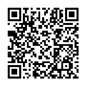 便如是沙漠之中的食尸鹫一般狠狠的看着婉儿和秀儿二维码生成