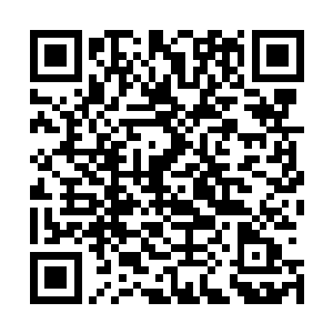 便如此轻松地将这几名拥有着不俗力量的退伍军人轻松击败二维码生成