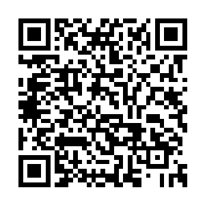 便对着放在笼子里的九宫鸟做了一个喂食的举动二维码生成