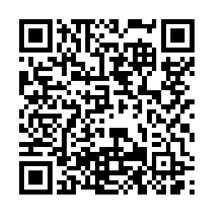 便将两个连眼睛都还没睁开的小包子放在自己床上看着二维码生成