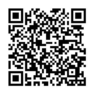 便将猴子放回了灵兽袋中再次启动了传送阵法这才归来二维码生成