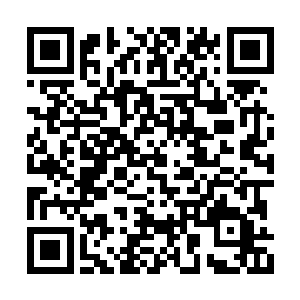 便将那条已经没了半条命的魔龙送进了幽冥幡中二维码生成