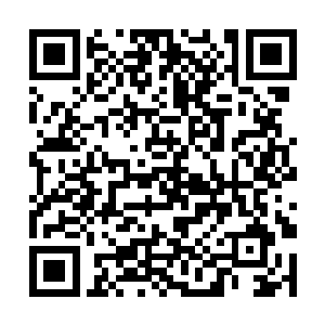 便已经是帝联商会举办的百年一次拍卖盛会的日子了二维码生成