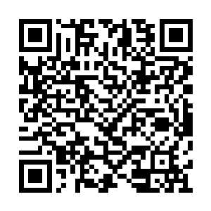 便已经有数十道剑气连续进入楚暮的身躯之内了二维码生成