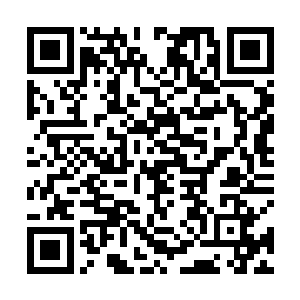 便已经联系交手了数十招了……宋链的实力要强横许多二维码生成