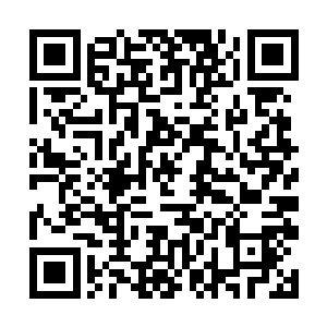 便开始了这一段注定只能靠他自己才能走向终点的路二维码生成