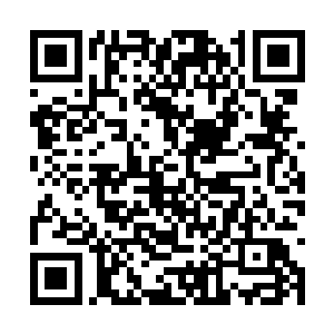 便开始参研起从那尽天涯身上得到的降世心经起来二维码生成