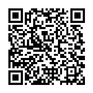 便心痒难耐地偷偷从后方伸出尾巴搔了搔阿黄的后颈二维码生成