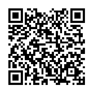 便悄然无声的过去把杯子和碟盘收回到后台的厨房二维码生成