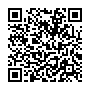 便感觉到了那骷髅巨人身上蕴含的可怕死亡之力二维码生成