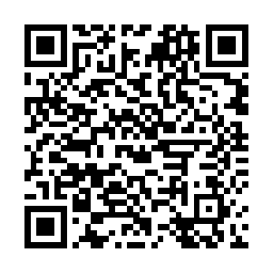 便把批捕红裙女人和新锐设计师孟婉的消息公布在官网二维码生成