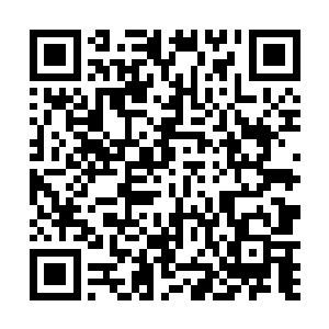 便把特区警察总署下发的通缉令副本从公文包里拿出来二维码生成