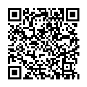 便拉着还想说话的叶琳退下回自己的院子里去了二维码生成