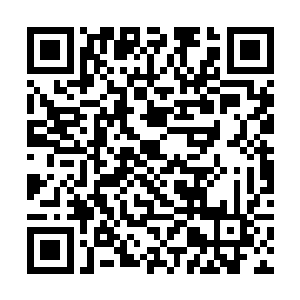 便教人将一整座费家人之前居住的别墅全都给拆完了二维码生成