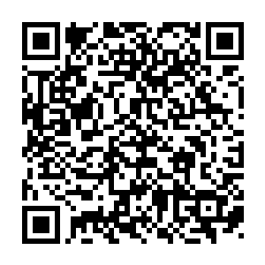 便是二十位机关干部依次对自己在村里的挂职工作情况做汇报介绍二维码生成