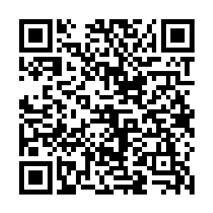 便是京城所有的账房花个把月也保准找不出什么问题来二维码生成