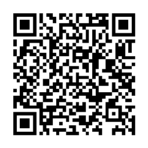 便是从其中射出一颗石子大小的东西落入顾老手中二维码生成