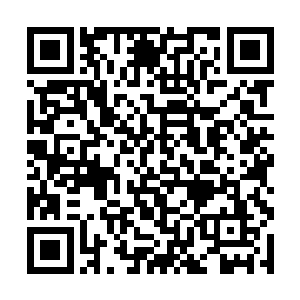 便是他若没有合适的武器根本无法杀死一头猛犸古象二维码生成