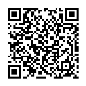 便是伸出手来一一指向季泽爵身后的四个绝美女子二维码生成